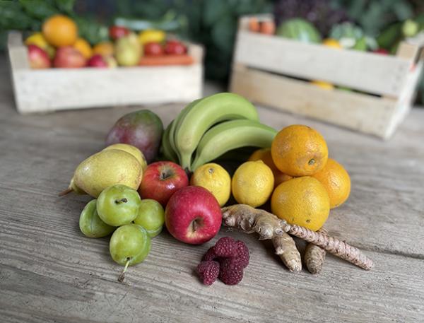 Fruit Picture of Fruit