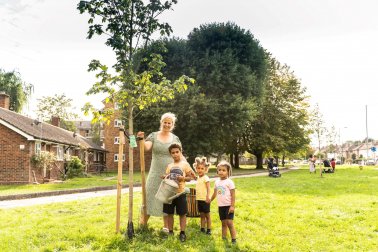 Picture of DONATE to Trees for Streets