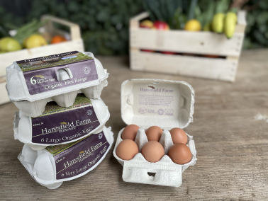 Picture of Free-range organic eggs