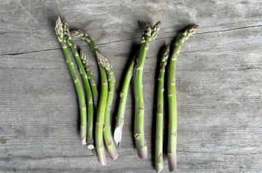 Picture of Asparagus bunch (thinner stems) 200g