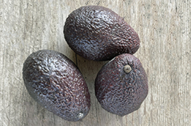Picture of Avocado - large