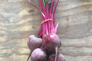 Picture of Beetroot - rainbow bunched (no leaves)