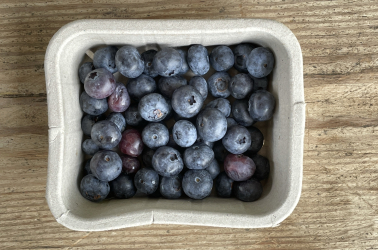 Picture of Blueberries 125g