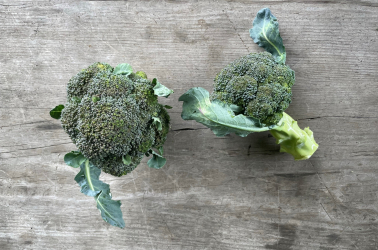 Picture of Broccoli - UK 350g+