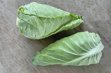 Picture of Cabbage Pointed