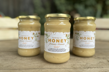 Picture of Cambridge Raw Set Honey - (not organic) 454g