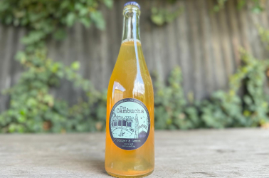 Picture of Cambucha - Ginger and Lemon Kombucha 750ml (non-organic) OUT OF STOCK £8.32+VAT