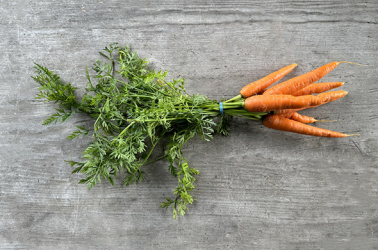 Picture of Carrots - bunched orange (500g+)