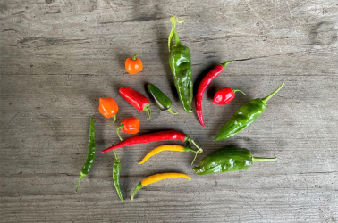 Picture of Chilli peppers, green (50g)