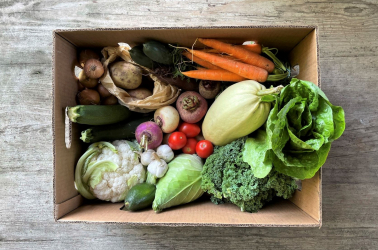 Choice Giant Vegetable Box Picture of Choice Giant Vegetable Box