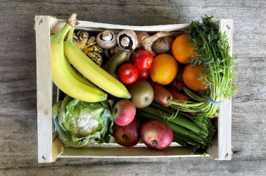 Picture of Choice Medium FRUIT and VEGETABLE Box