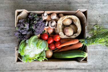 Picture of Choice Medium Vegetable Box