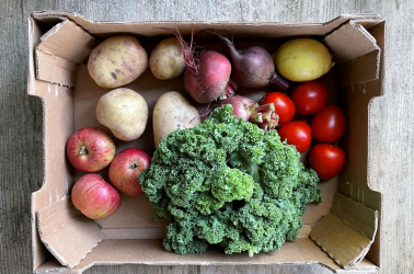 Choice Mini FRUIT and VEGETABLE Box Picture of Choice Mini FRUIT and VEGETABLE Box