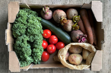 Picture of Choice Small Vegetable Box