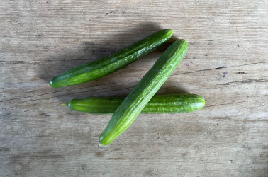 Picture of Cucumber x2