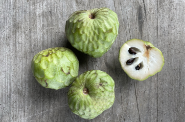 Picture of Custard apple