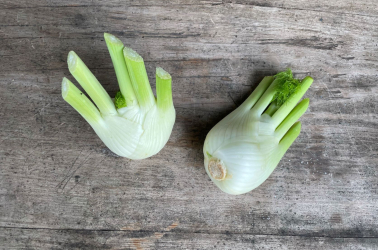 Picture of Fennel 300g+