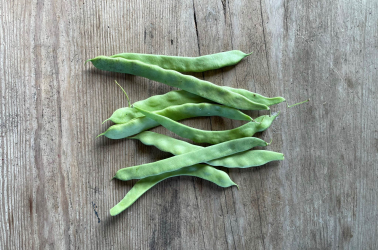 Picture of Flat Beans