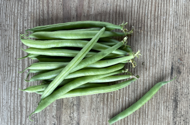 Picture of French beans