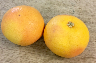 Picture of Grapefruit, ruby - 2 pieces