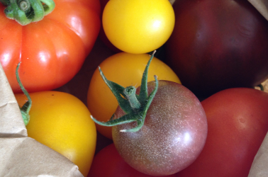Picture of Heirloom Tomatoes from Flourish 500g