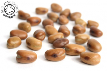 Picture of Hodmedods - Whole Fava Beans 500g Organic OUT OF STOCK £1.99