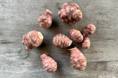 Picture of Jerusalem Artichokes