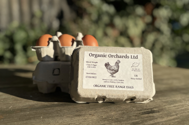 Picture of Laura's Organic Orchard Eggs MEDIUM