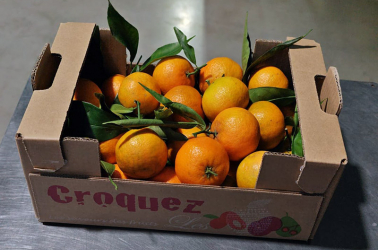 Picture of Leafy clementines 2kg box