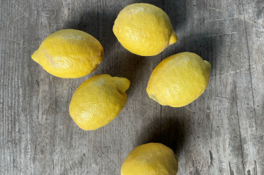 Picture of Lemon (early season - green skin)