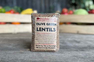 Picture of Lentils Dried - Olive Green 500g - Hodmedods (non organic)