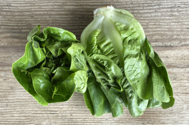 Picture of Lettuce or Salad Bag