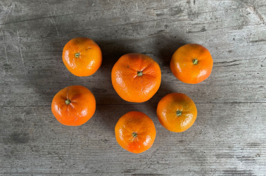 Picture of Mandarins 300g