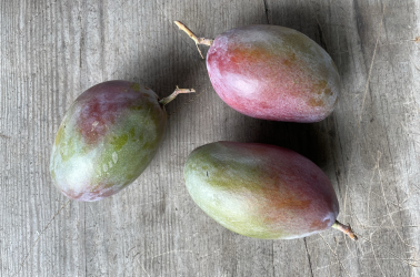 Picture of Mango