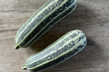 Picture of Marrow