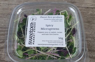 Picture of Microgreen punnet 50g (not organic) SORRY NOT AVAILABLE THIS WEEK £3.50