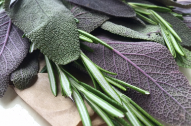 Picture of Mixed fresh herbs (50g)