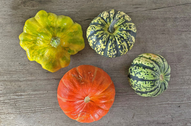 Picture of Mixed Local Squash Collection - 5kg
