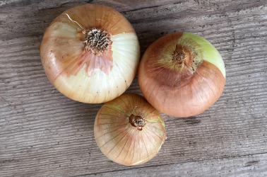 Picture of Onions (brown)