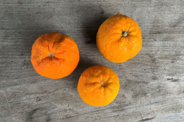 Picture of Oranges - Seville (for marmalade) 500g - FINAL WEEK