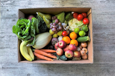 Picture of Original Giant FRUIT and VEGETABLE Box