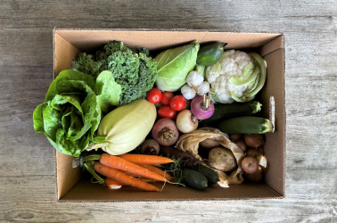 Picture of Original Giant Vegetable Box