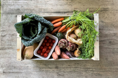 Picture of Original Large Vegetable Box