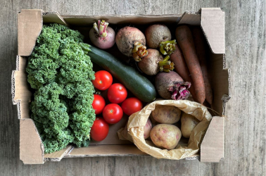 Picture of Original Small Vegetable Box