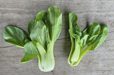 Picture of Pak Choi - 250g