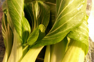 Picture of Pak Choi bag