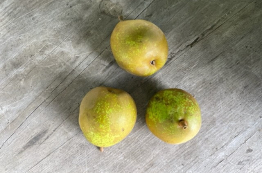 Picture of Pears - Audley End Heritage Varieties 400g
