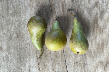Picture of Pears - Conference (2 pears/300g)