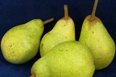 Picture of Pears - Louise Bonne (3 pears)