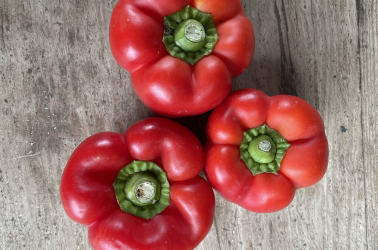 Picture of Pepper - red 250g